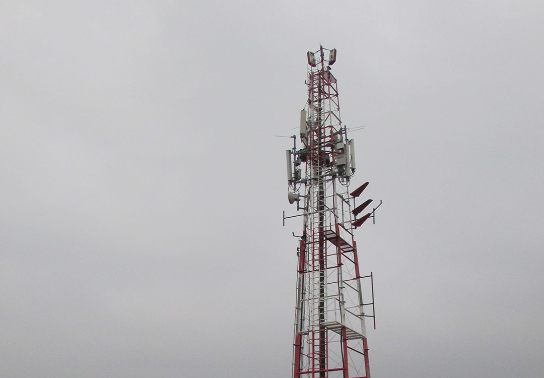 Стари-Лединци