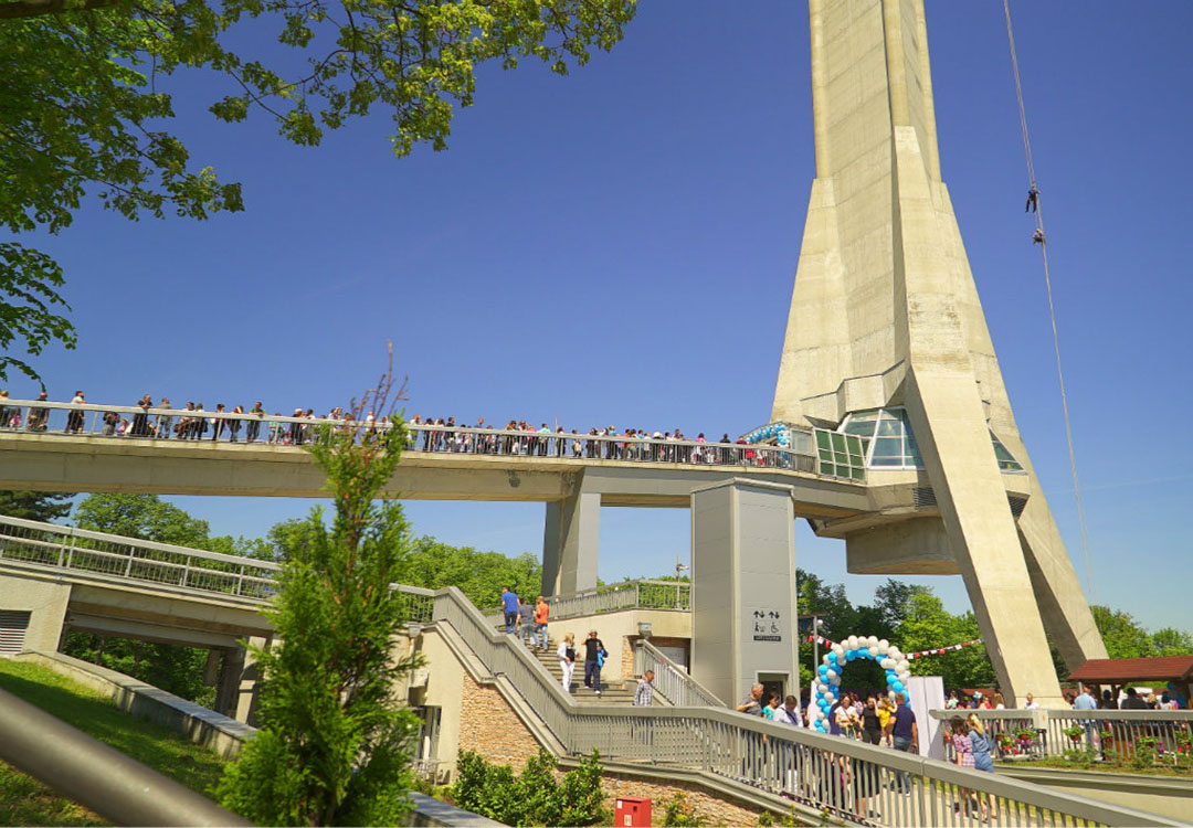 Шести рођендан Авале